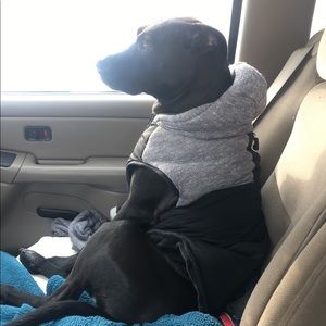 Meet your Posher, Ricky